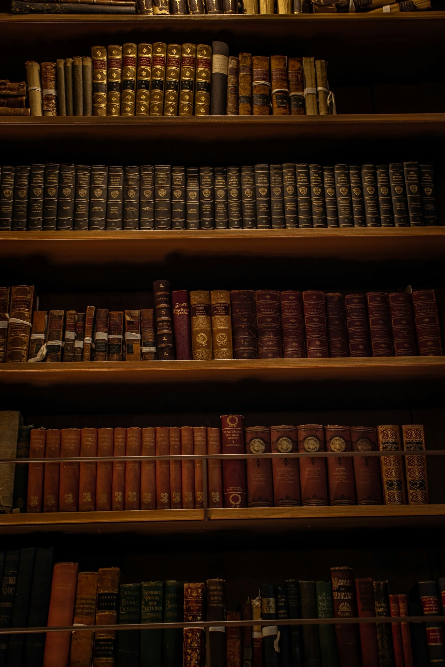 Shelves as Silent Witnesses to Our Lives